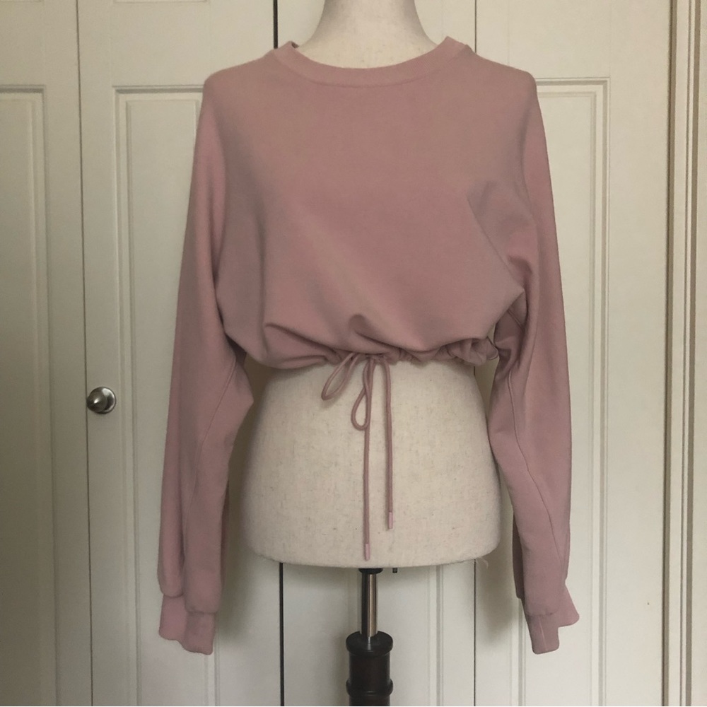 Aritzia The Group Babaton leisure cropped pink cinched sweatshirt